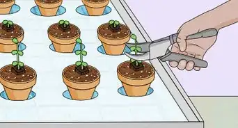 Build a Hydroponic Garden