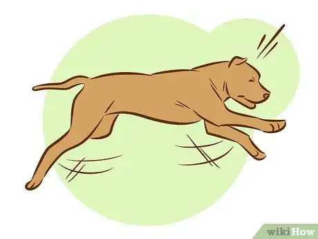 Image titled Train a Pitbull Puppy Step 27