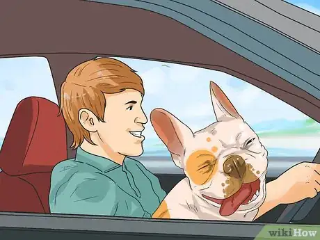 Image titled Train French Bulldogs Step 11