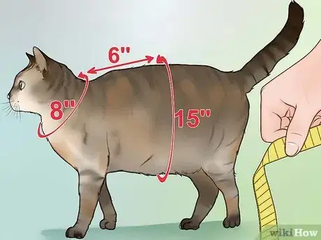 Image titled Make a Harness for Your Fat Cat Step 1