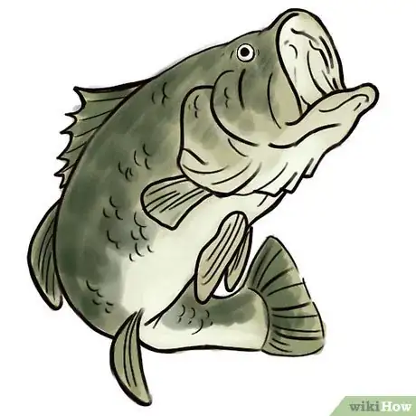 Image titled Bass fish Intro