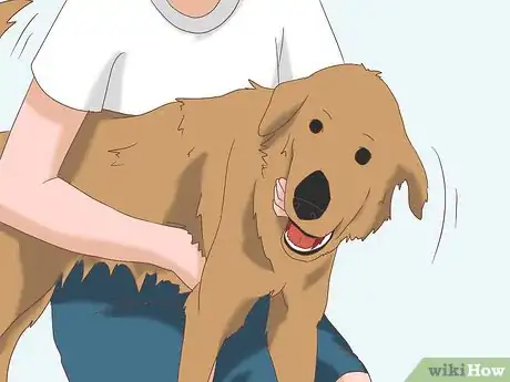 Image titled Remove Ticks from Furry Pets Step 3