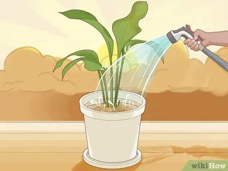 Image titled Save an Overwatered Plant Step 16