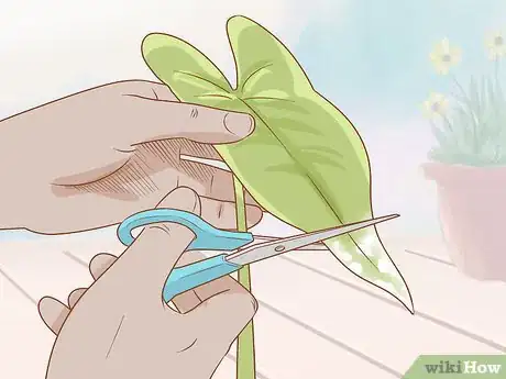 Image titled Get Rid of Powdery Mildew on Plants Step 12