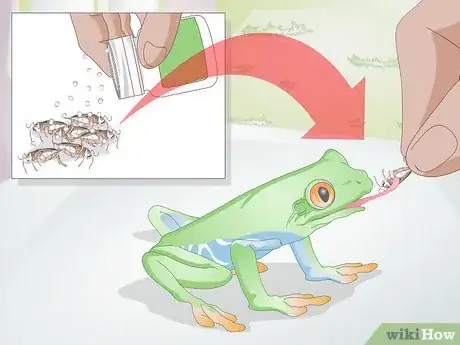 Image titled Care for a Red Eyed Tree Frog Step 1