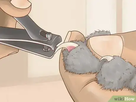 Image titled Cut Cat Nails with Human Clippers Step 5