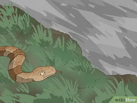 Image titled Identify a Baby Copperhead Snake Step 11