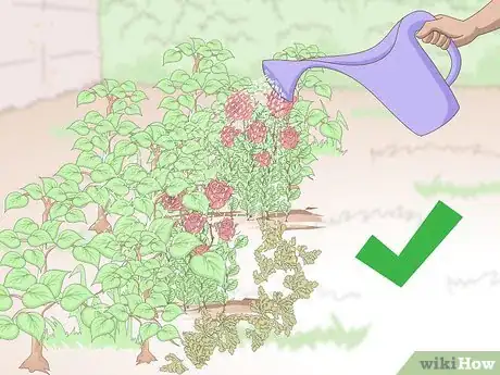 Image titled Keep Your Plants from Dying Step 14