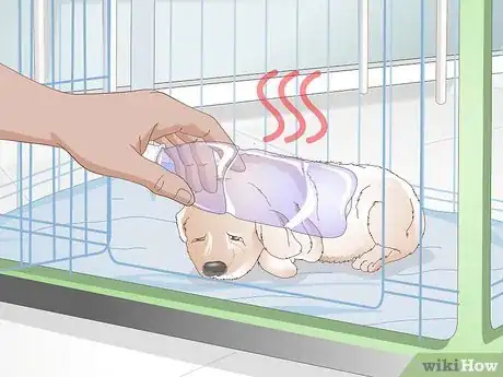 Image titled Get Your Puppy To Sleep in Its Own Bed Step 12