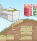 Grow Your Own Food