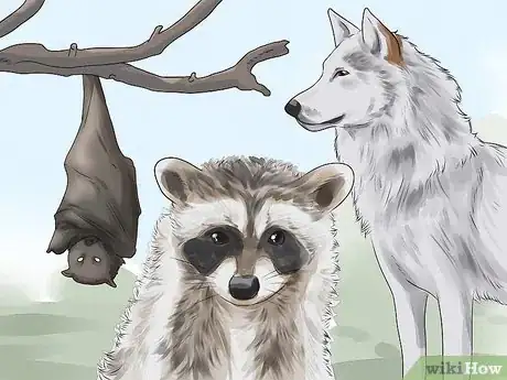 Image titled Identify Rabies in Humans Step 4