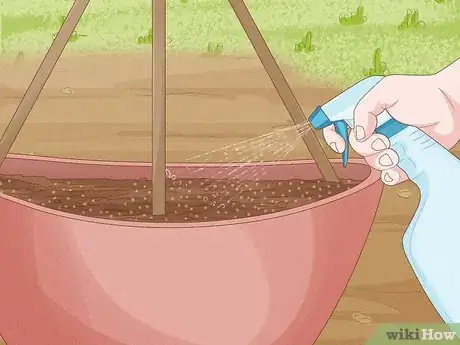 Image titled Grow Cucumbers in Pots Step 13