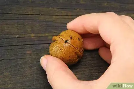 Image titled Hull Walnuts Step 10