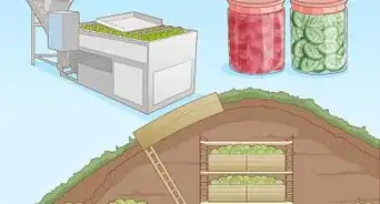 Grow Your Own Food