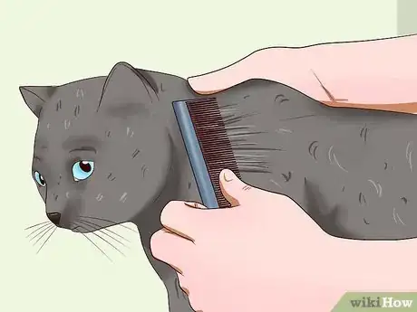 Image titled Clean Your Cat When He Can't Do It Himself Step 8