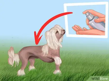 Image titled Care for Chinese Crested Dogs Step 1