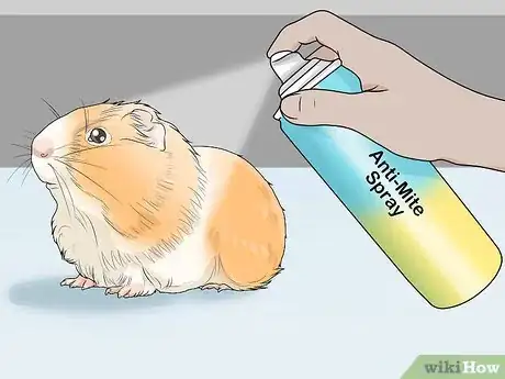 Image titled Get Rid of Mites on Hamsters Step 13