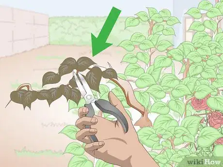 Image titled Keep Your Plants from Dying Step 15