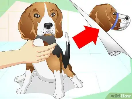 Image titled Heal Ear Infections in Dogs Step 13