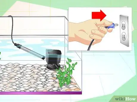 Image titled Fix Cloudy Aquarium Water Step 10