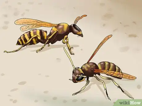 Image titled Kill a Bee Step 1