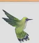 Draw Hummingbirds