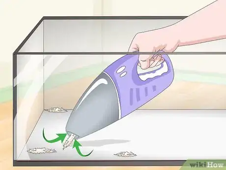 Image titled Get Rid of Mites on Snakes Step 9