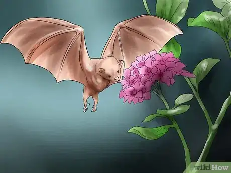 Image titled Attract Bats to Your Yard Step 2