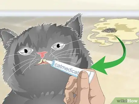 Image titled Help a Vomiting Cat Step 5