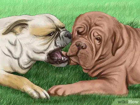 Image titled Socialize a Dog with Other Dogs Step 4