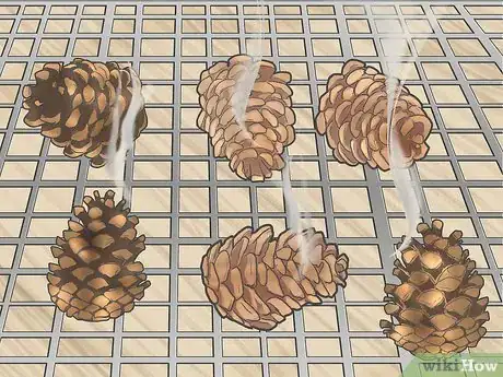 Image titled Preserve Pinecones Step 10