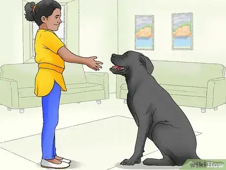 Image titled Identify a Mastiff Step 12