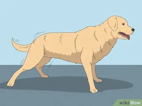 Image titled Tell if Your Dog Is Having a Medical Emergency Step 5