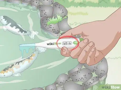 Image titled Feed Koi Step 11