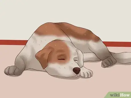 Image titled Trim a Dog's Nails Step 1