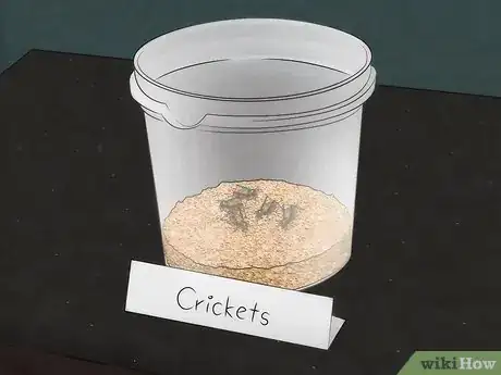 Image titled Care for Live Crickets for Reptiles Step 10