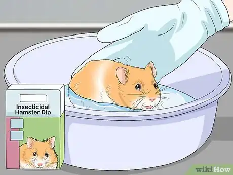 Image titled Get Rid of Mites on Hamsters Step 15