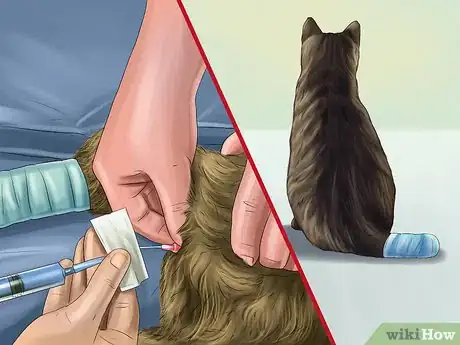 Image titled Treat a Cat with a Tail Pull Injury Step 11