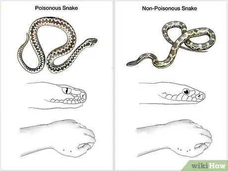 Image titled Prevent Snake Bites Step 1