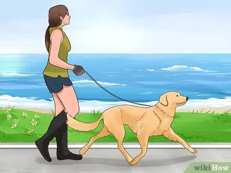 Image titled Train Your Dog for a Dog Show Step 5