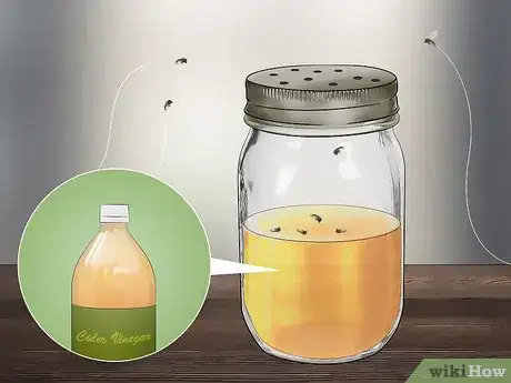 Image titled Get Rid of Gnats Step 4