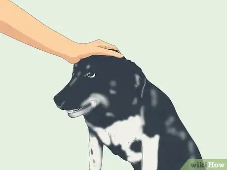 Image titled Pet a Dog Step 10