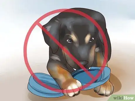 Image titled Train Your Rottweiler Puppy With Simple Commands Step 7