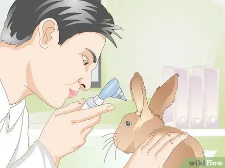 Image titled Prevent Ear Mites in Rabbits Step 7