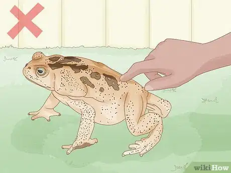 Image titled Get Rid of Frogs Step 3