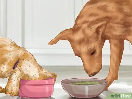 Image titled Choose a Place for Your Dog to Eat Step 9