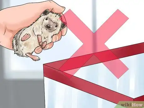 Image titled React when Your Hedgehog Bites You Step 5