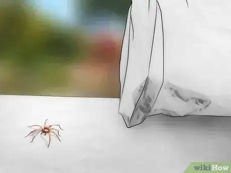 Image titled Get Spiders Out of Your House Without Killing Them Step 19