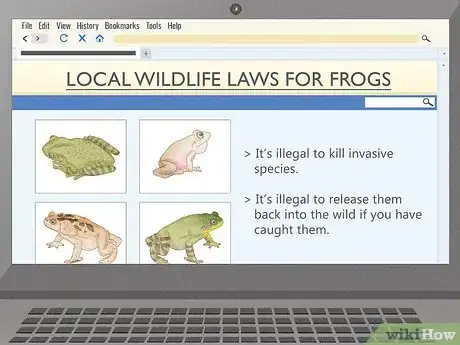 Image titled Get Rid of Frogs Step 2