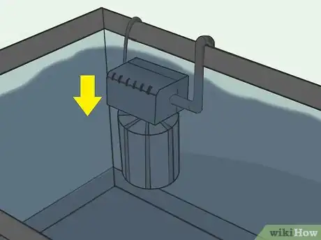 Image titled Raise Brine Shrimp Step 7